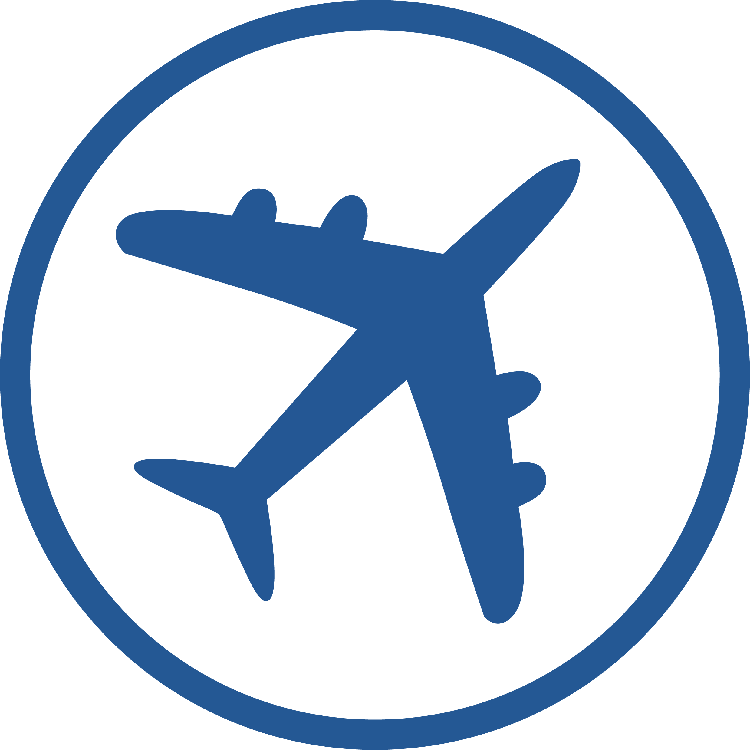 FlyNow Logo
